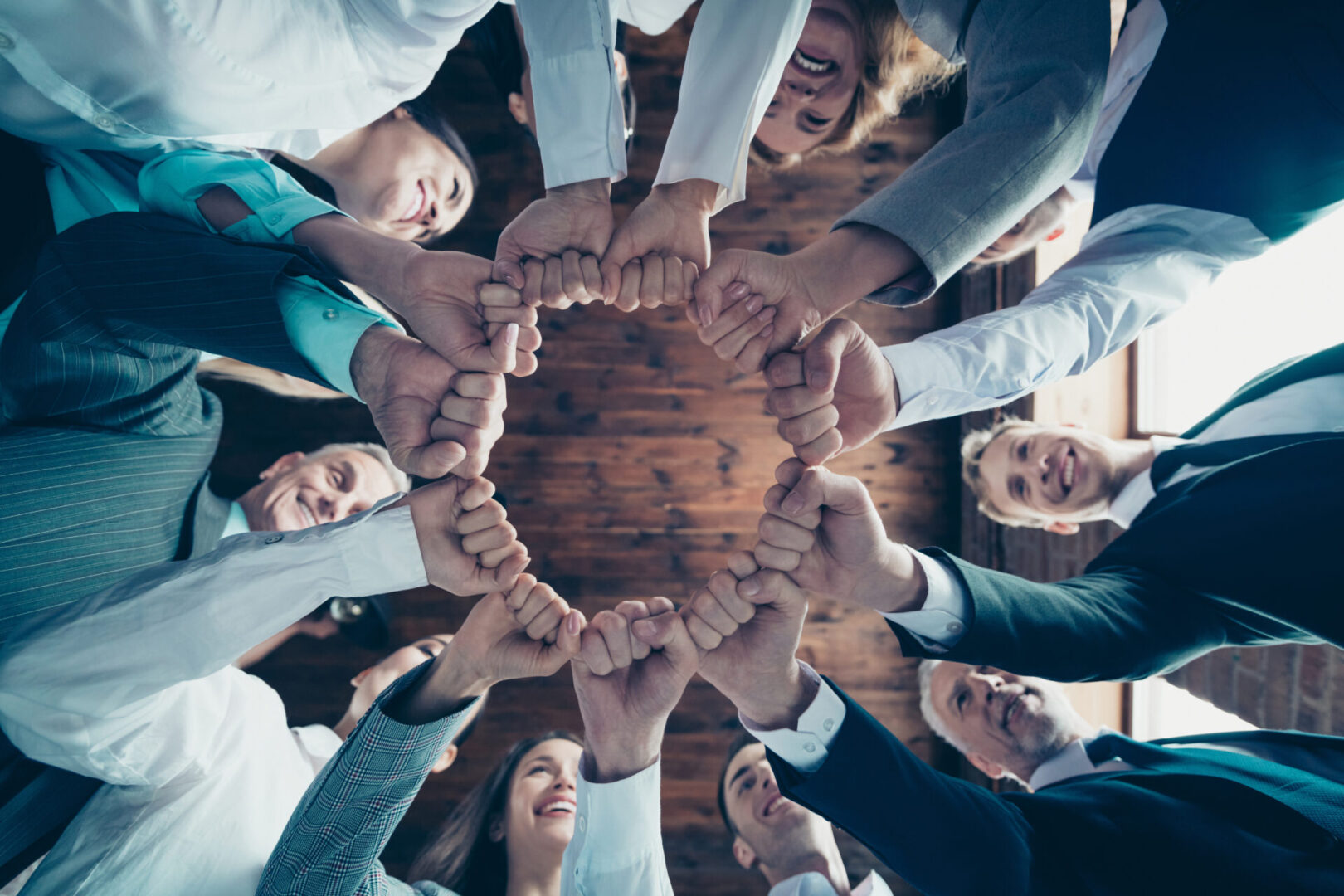 Close up low angle view photo members business people circle she her he him his hold hands arms fists together celebrate project prize nomination power inspiration dressed formal wear jackets shirts.